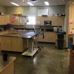 Didsbury Veterinary Clinic