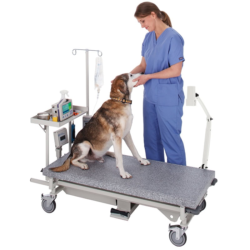 Olympic Advanced Treatment Station with an equipment shelf, IV pole, procedure light and integrated scale fully lowered with a veterinary technician weighing and examining a patient.