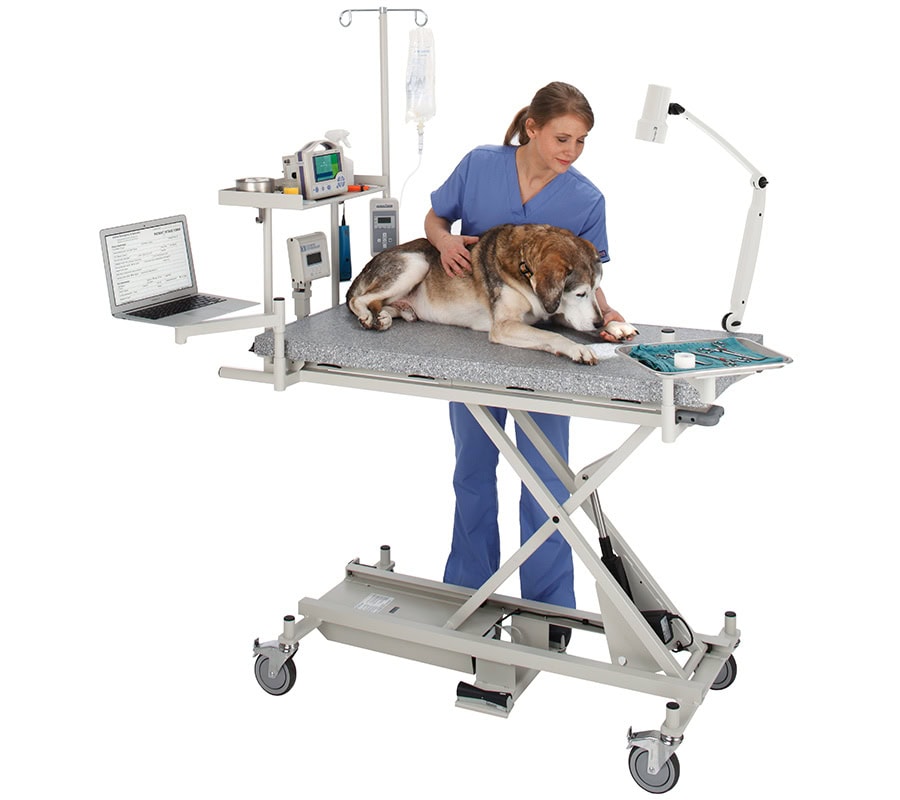 A veterinary technician is settling a patient for examination and treatment on a fully accessorized Olympic Advanced Treatment Station complete with an equipment shelf, IV pole, laptop tray, procedure light, and instrument tray.