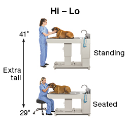 Olympic Hi Lo Wet Table™   Olympic Veterinary