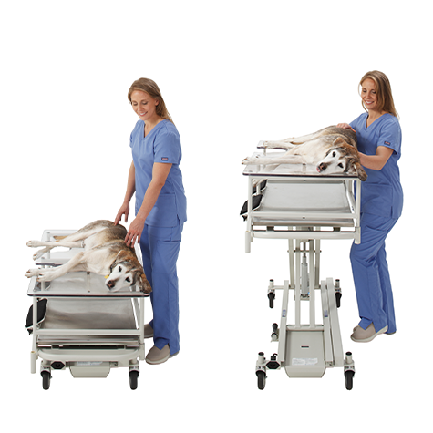 475x475_Top-Feature-Image_US-Height Adjustment_1205Q