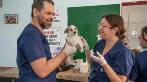 Read more about the article The Space-Saving Innovation That’s Changing How Surgery Suites Function