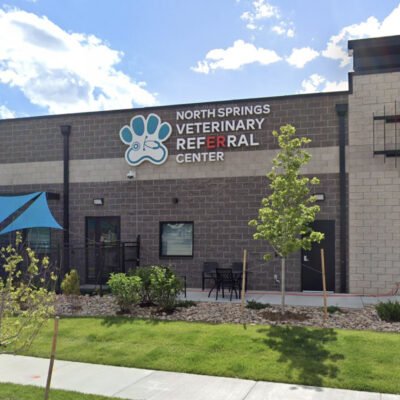 You are currently viewing North Springs Veterinary Referral Center